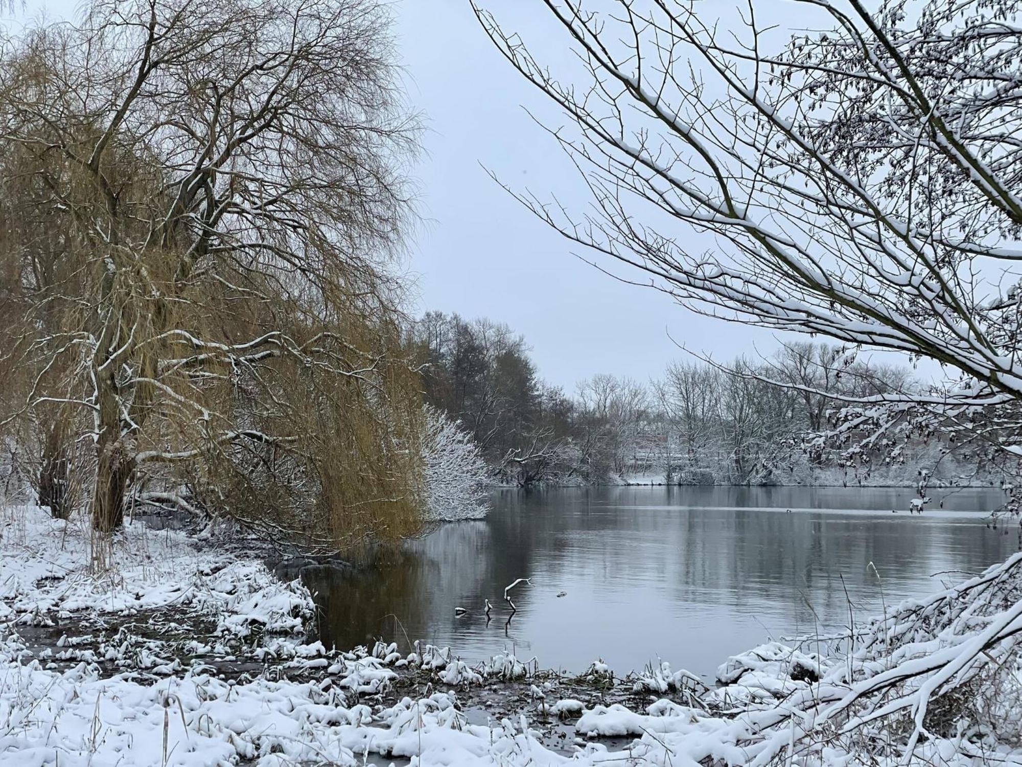 Flat In Eutin On The Kleiner Eutiner See Lake Exterior foto