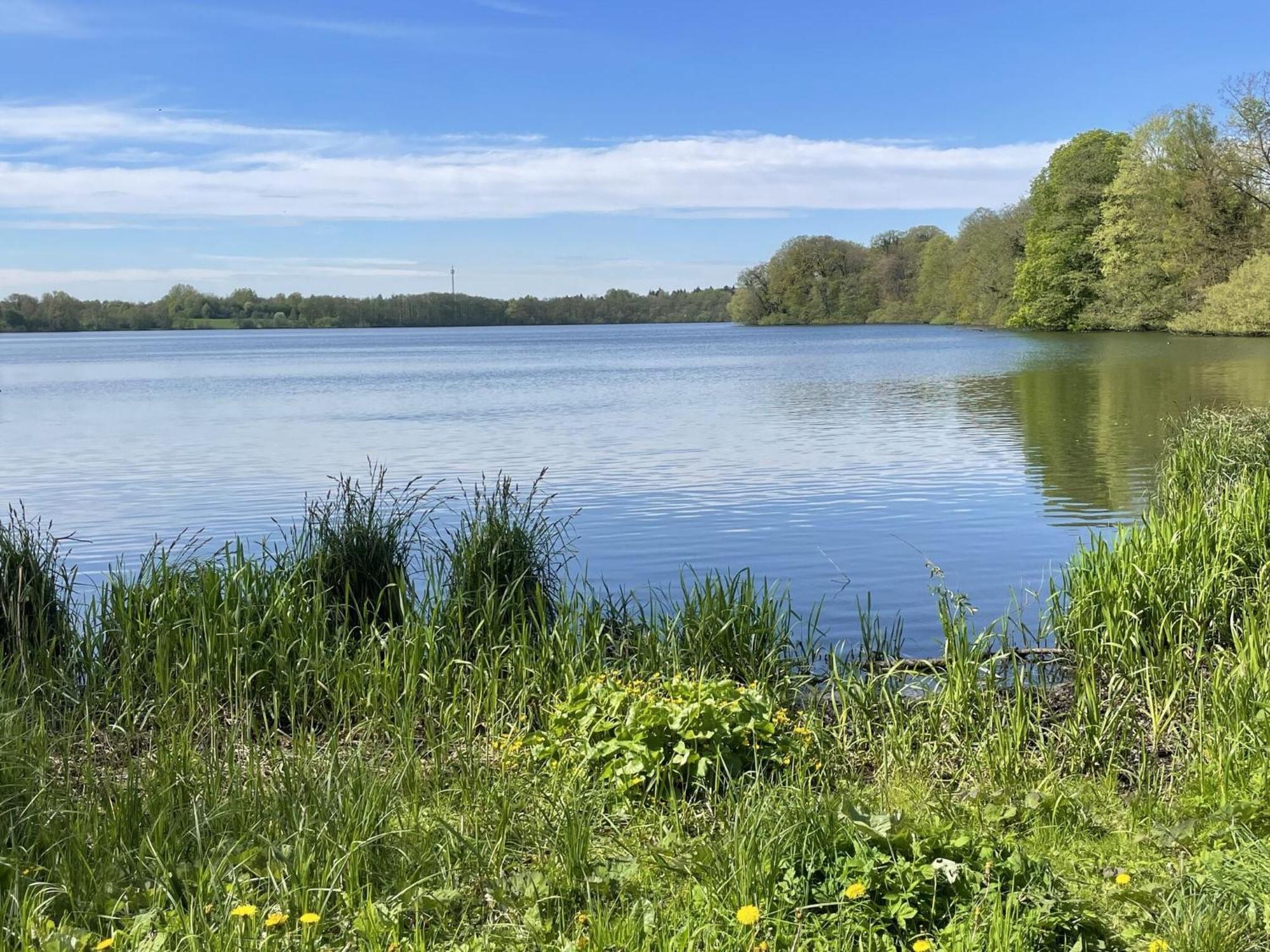 Flat In Eutin On The Kleiner Eutiner See Lake Exterior foto